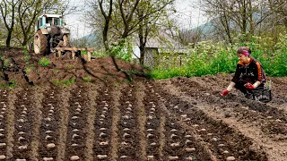 I Live in the Village and Grow Potatoes - 1 Hour of Best Recipes