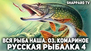 Русская рыбалка 4 . Оз. Комариное. Где та сволочь , что рвала мне леску(охота на карпа)!!!