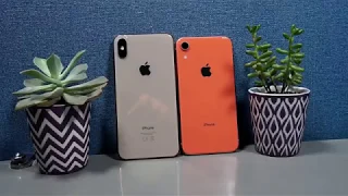 iPhone XR vs iPhone XS Max Detailed Camera Comparison