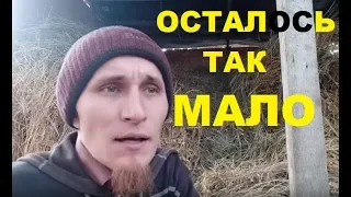 Обзор животных хозяйства "Хорошо живём".