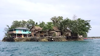 Climate-resilient farming in the Solomon Islands