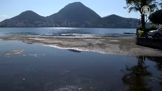 Залив Гуанабара не смогут очистить к Олимпиаде (новости)