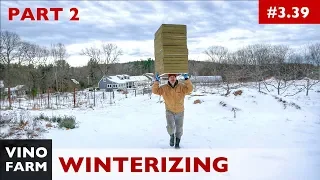 Why I Insulate My Bee Hives