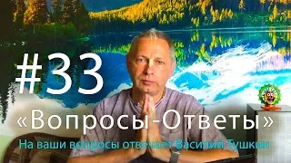 "Вопросы-Ответы", Выпуск #33 - Василий Тушкин отвечает на ваши вопросы