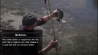 Best and Fastest location to catch Bluegill in Red Dead Online