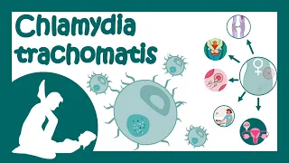 Chlamydia trachomatis | Chlamydial infection | Sexually transmitted disease | Treatment of Chlamydia