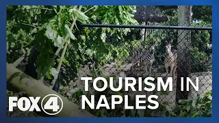 Tourism in Naples Recovering After Ian