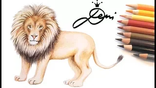 Löwe zeichnen lernen 🦁 How to Draw a Lion 🦁 как се рисува лъв 🦁 Zoo, Tiere malen