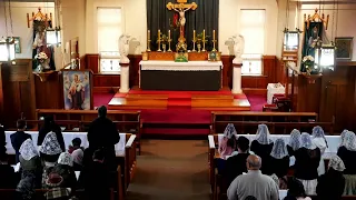 SSPXNZLIVE - Eight Sunday after Pentecost  - Sung Mass - 18 July 2021