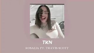 tkn ✦ rosalía ft. travis scott ( slowed nd reverb )