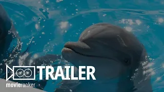 Bernie the Dolphin - Official Movie Trailer Starring Kevin Sorbo