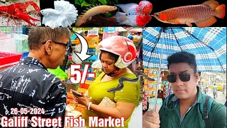 Recent Aquarium Fish Price Update | Galiff street Fish Market | Galiff Street new video 26-05-2024