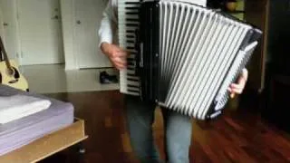 Lou Reed - Perfect Day cover on accordion