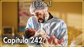 Hercai - Capítulo 242