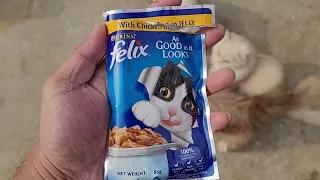 PURINA NESTLE FELIX CAT GRAVY TESTING #nestle #catvideos