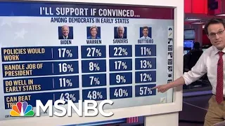 Defeating President Donald Trump Key To Democratic Voter Preferences: Poll | MSNBC