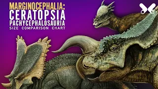 MARGINOCEPHALIA . Horned dinosaurs . Ceratopsia and relatives. dinosaur size comparison
