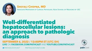 #LIVERPATH Well-differentiated hepatocellular lesions: an approach to pathologic diagnosis