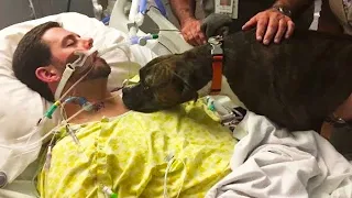 Dog Says Final Goodbye to his Dying Owner In Hospital.. (emotional)