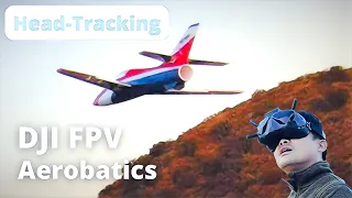 Head Tracking FPV Made Easy in Xfly Sirius EDf Jet