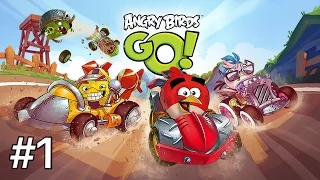 Angry Birds GO | Первая Гонка