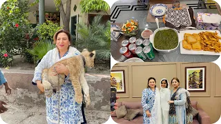 Visited a beautiful family in Lahore || Fan family || Farm house 🦁 dehkey @PulwashaCooksofficial