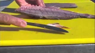 How to clean Mahi Mahi (Dolphin)  by Captain Vincent Russo