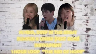 (1 hour loop) Flying, Deep In The Night- Onew x Suhyun (Feat. Rosé instruments) Sea Of Hope