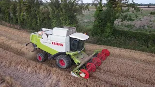 Barley harvest 2021 | CLAAS LEXION 540