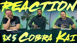 Cobra Kai 3x5 REACTION!! "Miyagi-Do"