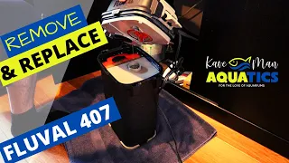 Fluval 407 Canister Filter - Remove and Install (Part 1)