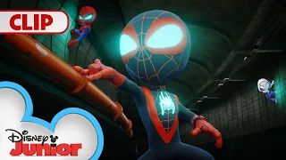 Tunnel Trouble | Marvel's Spidey and his Amazing Friends | @disneyjunior