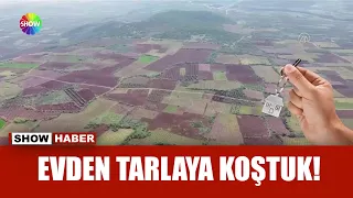 Arsa ve tarla satışları konutu solladı