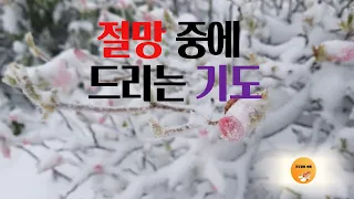 절망 중에 드리는 기도