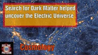 Has the Search for Dark Matter Uncovered Evidence of the Electric Universe?