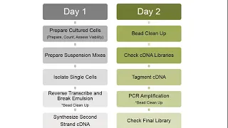 Single Cell RNA-Sequencing: Introduction