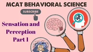 MCAT Behavioral Science: Chapter 2 - Sensation and Perception Lecture (1/1)