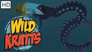 Wild Kratts - Dive into the Atlantic Ocean!