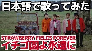 【ビートルズ】イチゴ園よ永遠に（Strawberry Fields Forever）【日本語で歌ってみた】