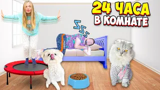 24 ЧАСА В ОДНОЙ КОМНАТЕ С КОТАМИ И СОБАКОЙ | ПРЯТКИ В КОРОБКАХ