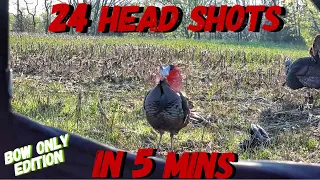 24 turkey head shots in 5 minutes! All Bow Hunting | Bowmar Bowhunting |
