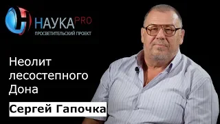 Неолит лесостепного Дона | Лекции по истории – археолог Сергей Гапочка | Научпоп