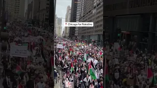 Tens of thousands in Chicago demand a ceasefire in Gaza as Israel escalates its war