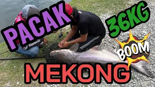 UMPAN TEPUNG MEKONG 36KG KOLAM SEKSYEN 24