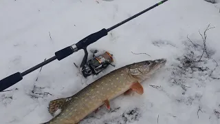 Favorite x1 ПЕРВЫЕ ВПЕЧАТЛЕНИЯ !ЗИМНИЙ СПИННИНГ, ЩУКИ СОШЛИ СУМА !! Pike fishing in winter.