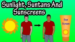 Sunlight Suntans And Sunscreens - What Is A Suntan - What  Does The Sun Do To The Skin