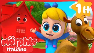 Magici incontri | Cartoni Animati per Bambini | Morphle Italiano