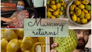 MUMMY RETURNS AFTER 2 MONTHS!! WITH TONS OF FRUITS!! LOL