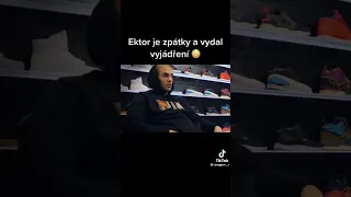 Ektor vyjádření