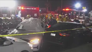 2 killed in hit-and-run in Exposition Park